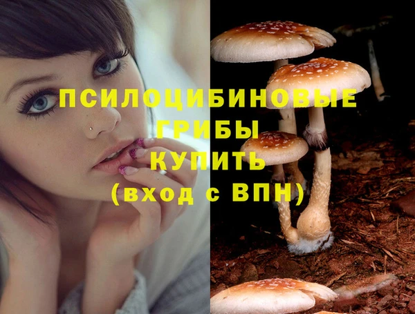 МДПВ Белоозёрский