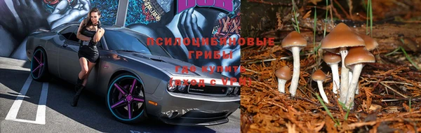 марки lsd Беломорск