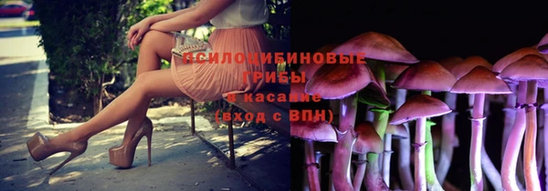 а пвп мука Богданович