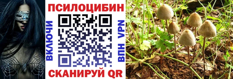 Псилоцибиновые грибы MAGIC MUSHROOMS  купить наркотики сайты  Игра 